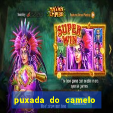 puxada do camelo no jogo do bicho